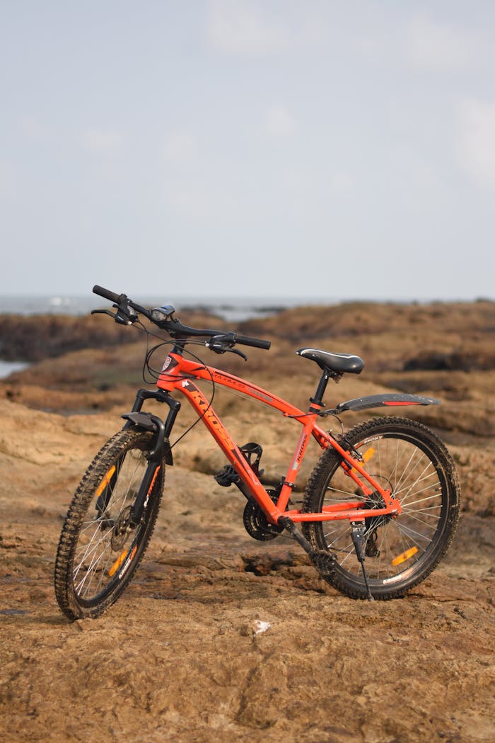 A vibrant orange mountain bike parked on rocky coastal terrain under a bright sky.